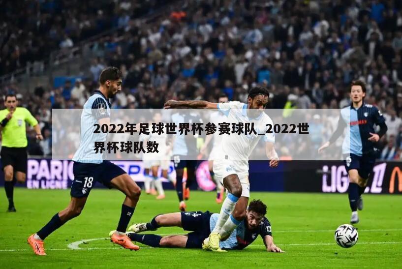 2022年足球世界杯参赛球队_2022世界杯球队数