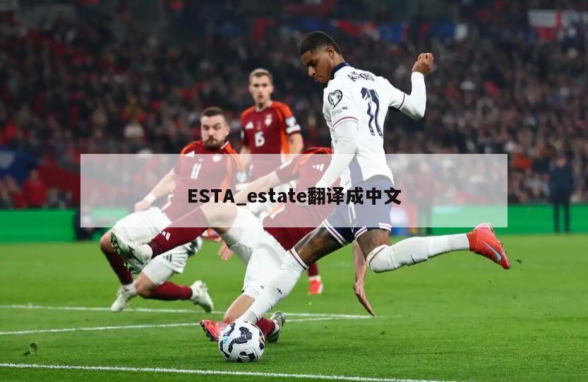 ESTA_estate翻译成中文